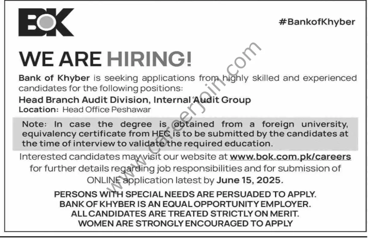 Bank of Khyber BOK Jobs 01 June 2025 Dawn 03 1