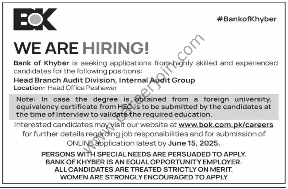 Bank of Khyber BOK Jobs 01 June 2025 Dawn 12