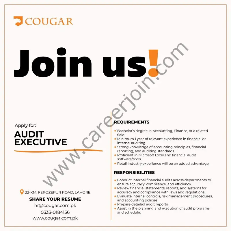Cougar Pakistan Jobs Audit Executive 1