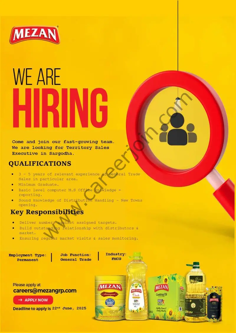 Mezan Group Jobs June 2025 2