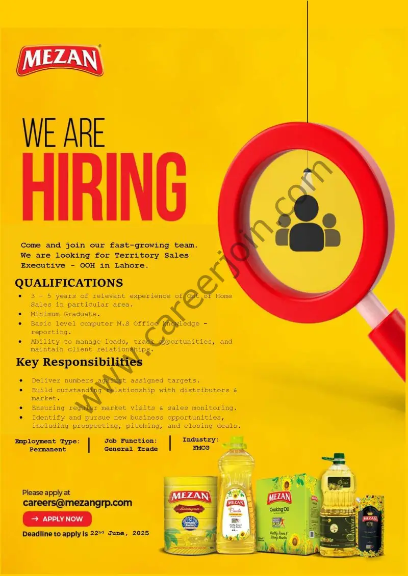 Mezan Group Jobs June 2025 1