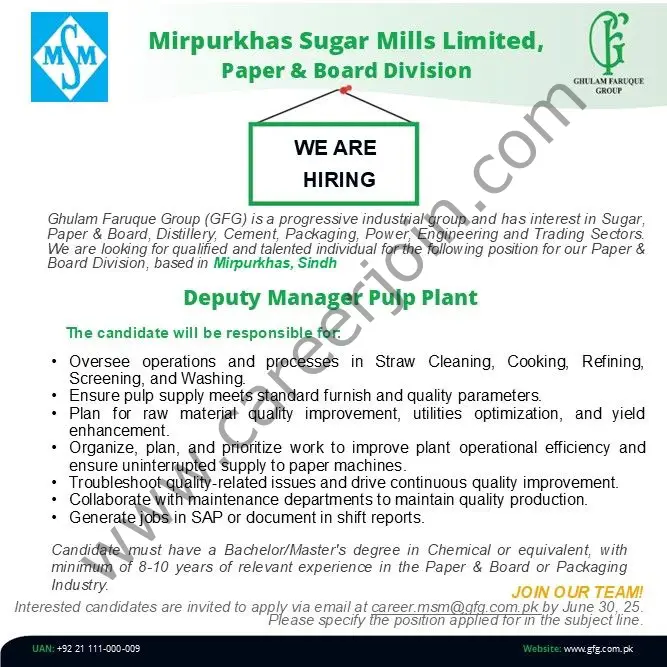 Mirpurkhas Sugar Mills Limited Jobs Deputy Manager Pulp Plant 1