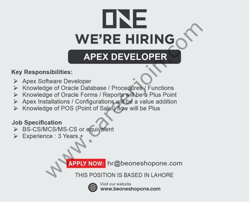 ONE Life Apparel Jobs APEX Developer 1