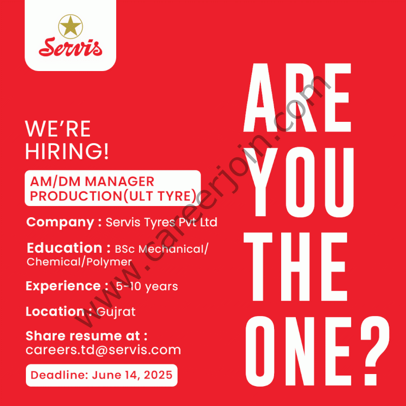 Servis Tyres Pvt Ltd Jobs AM/DM Manager Production 1