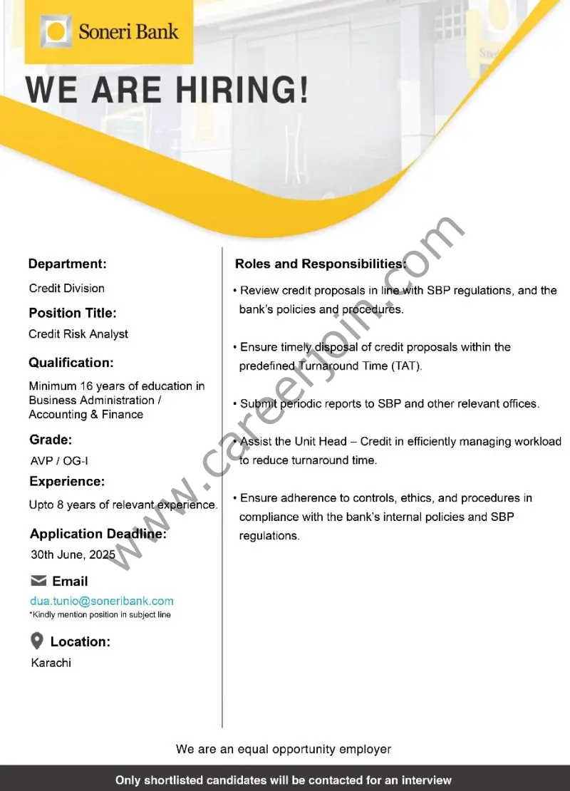 Soneri Bank Limited Jobs Credit Risk Analyst 1
