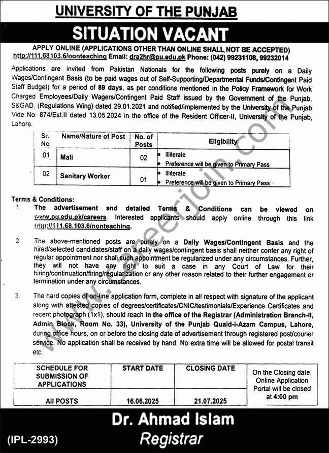 University of The Punjab Jobs 29 June 2025 Nawaiwaqt 1