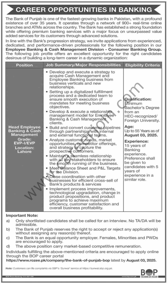 Bank of Punjab Jobs 20 July 2025 Dawn 01 12