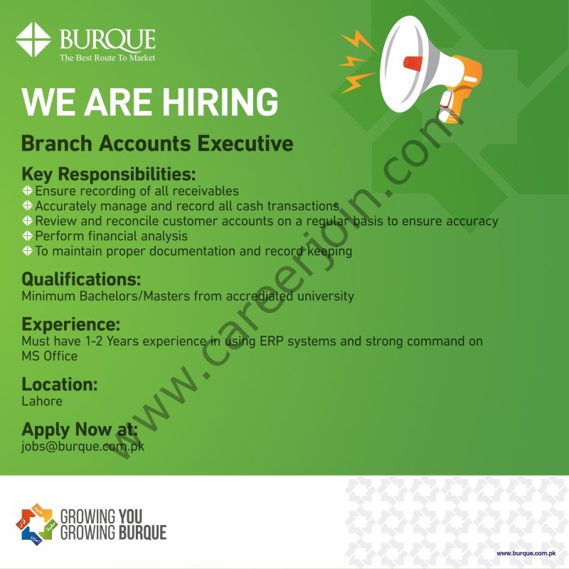 Burque Corporation Limited Jobs Branch Accounts Executive 1