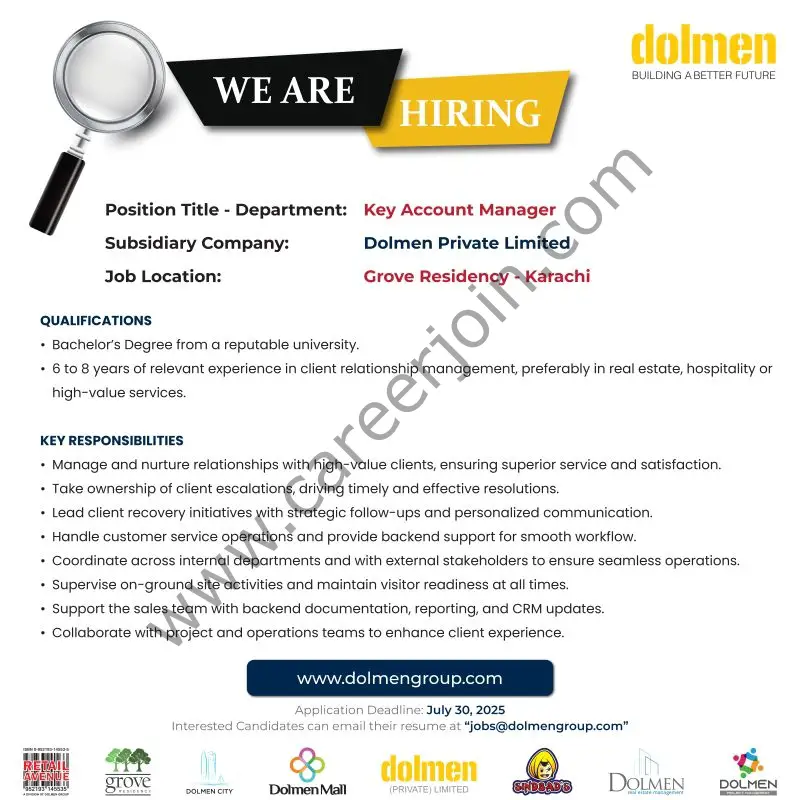 Dolmen Group Jobs Key Account Manager 1