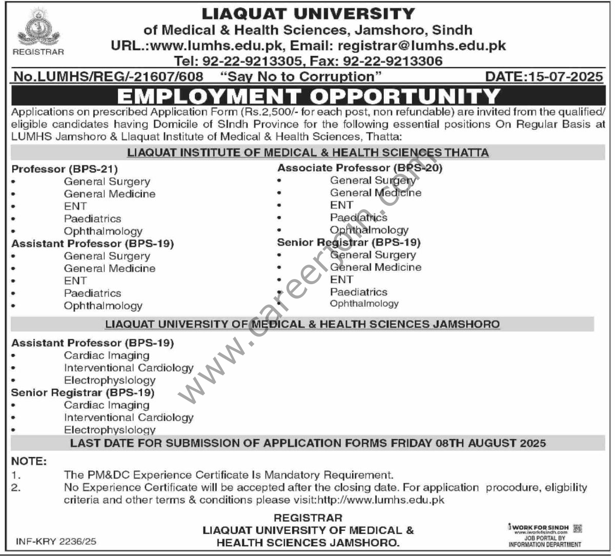Liaquat University Jobs 17 July 2025 Dawn 1