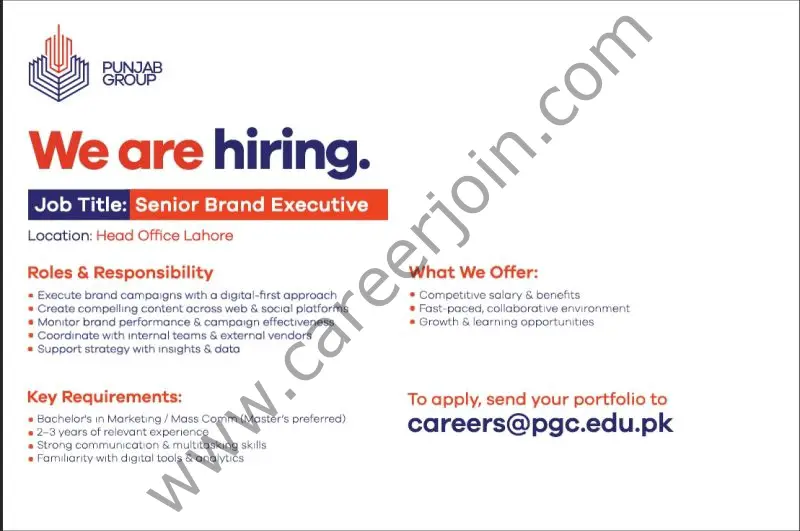 Punjab Group Jobs Senior Brand Executive 1