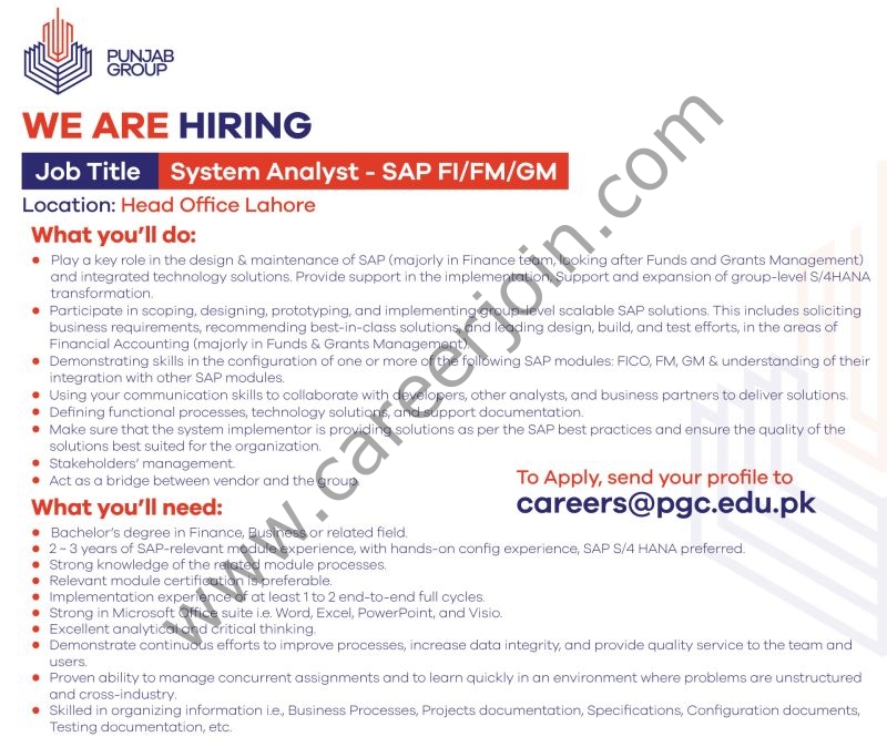 Punjab Group Jobs System Analyst 1
