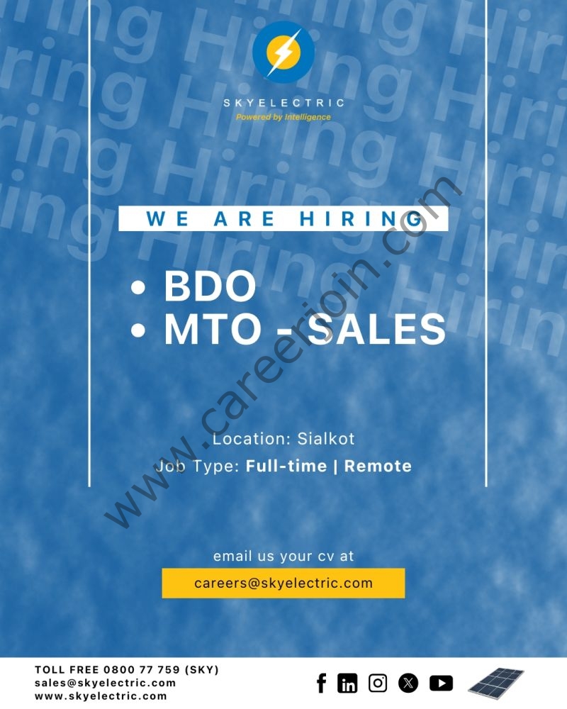Sky Electric Pvt Ltd Jobs BDO / MTO Sales 1