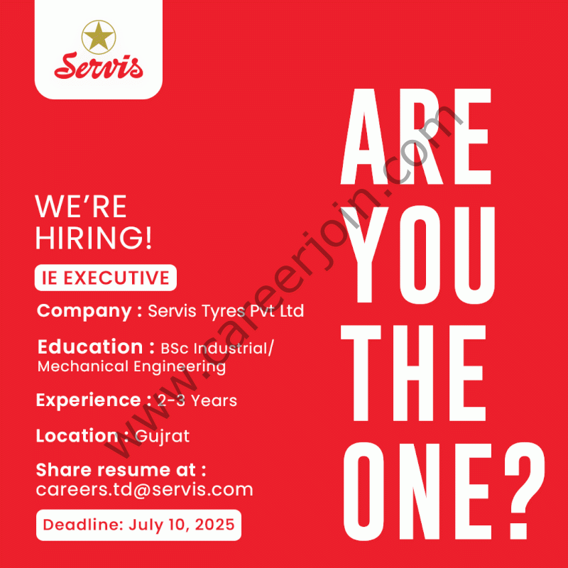 Servis Tyres Pvt Ltd Jobs IE Executive 1