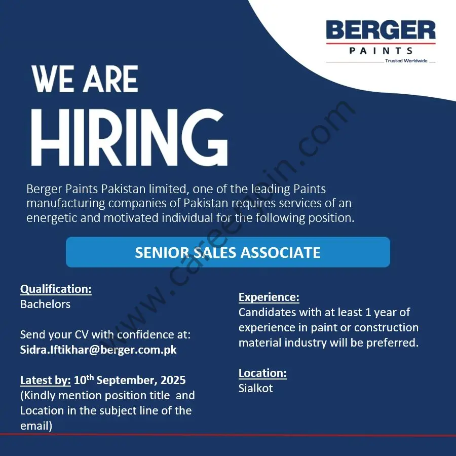 Berger Paints Pakistan Jobs Sr Sales Associate-Allied Business 1