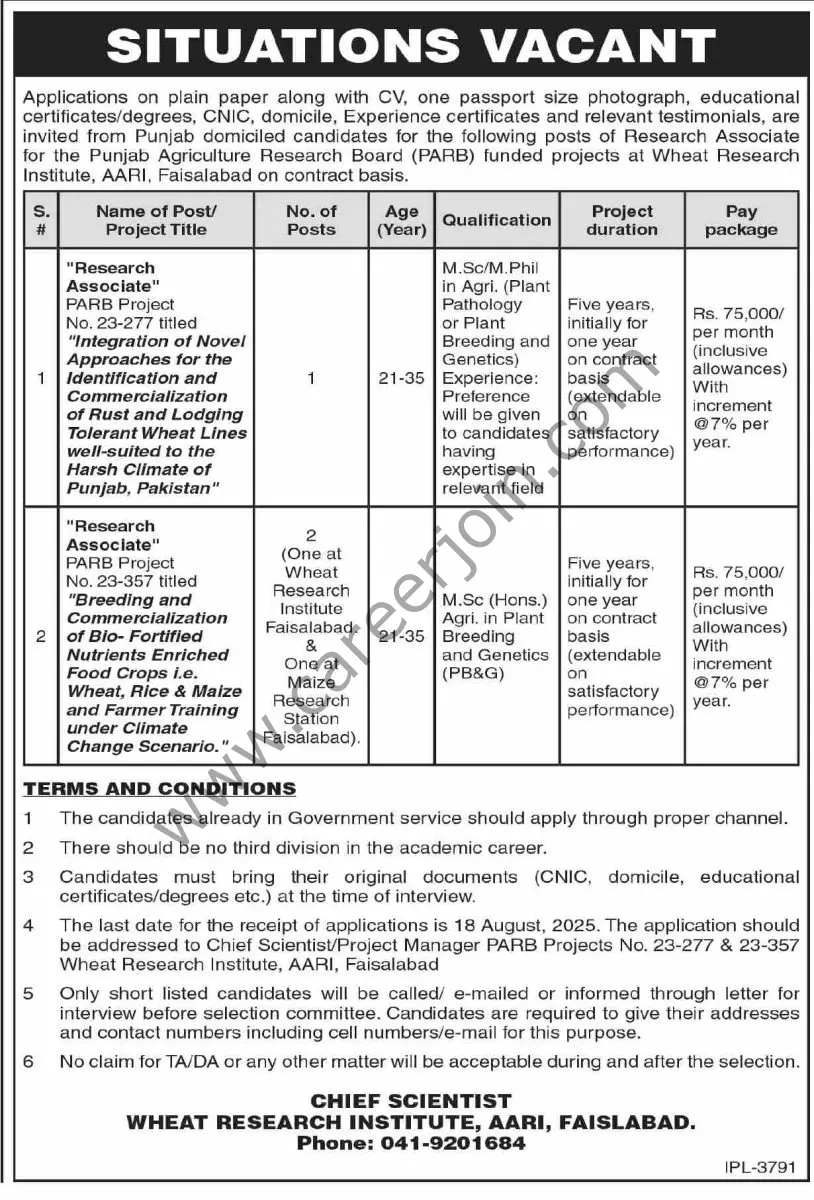 Punjab Agriculture Research Board PARB Jobs 31 July 2025 Dawn 1