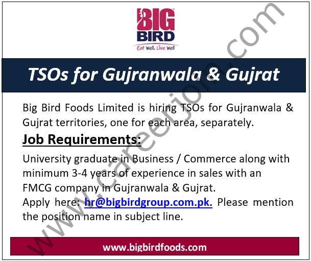 Bigbird Group Jobs TSOs 1