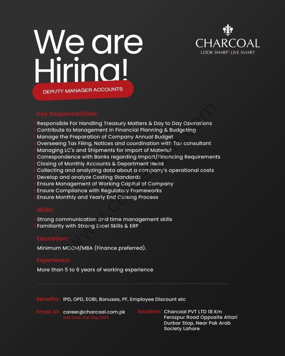Charcoal Pvt Ltd Jobs Deputy Manager Accounts 1
