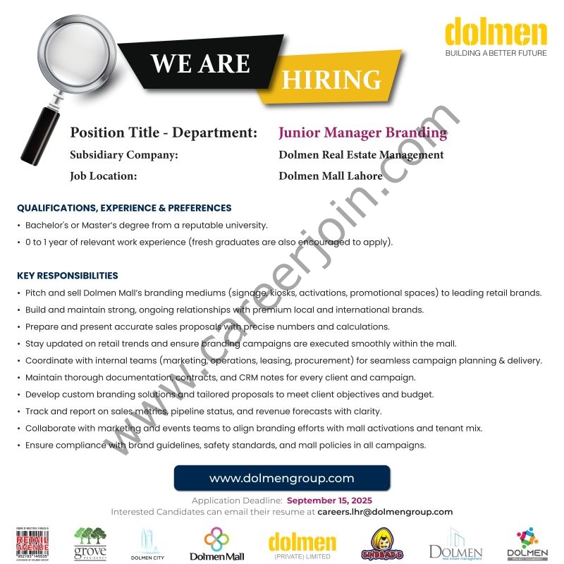 Dolmen Group Jobs Junior Manager Branding 1