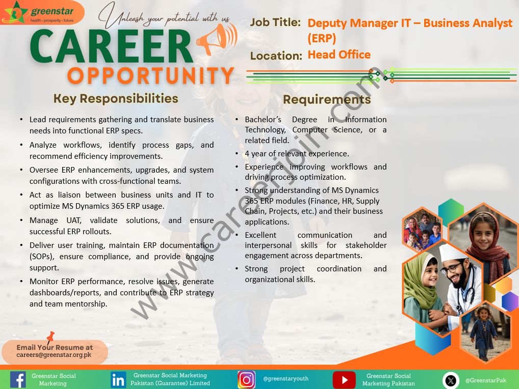 Greenstar Social Marketing (Guarantee) Limited Jobs Deputy Manager IT Business Analyst (ERP) 1