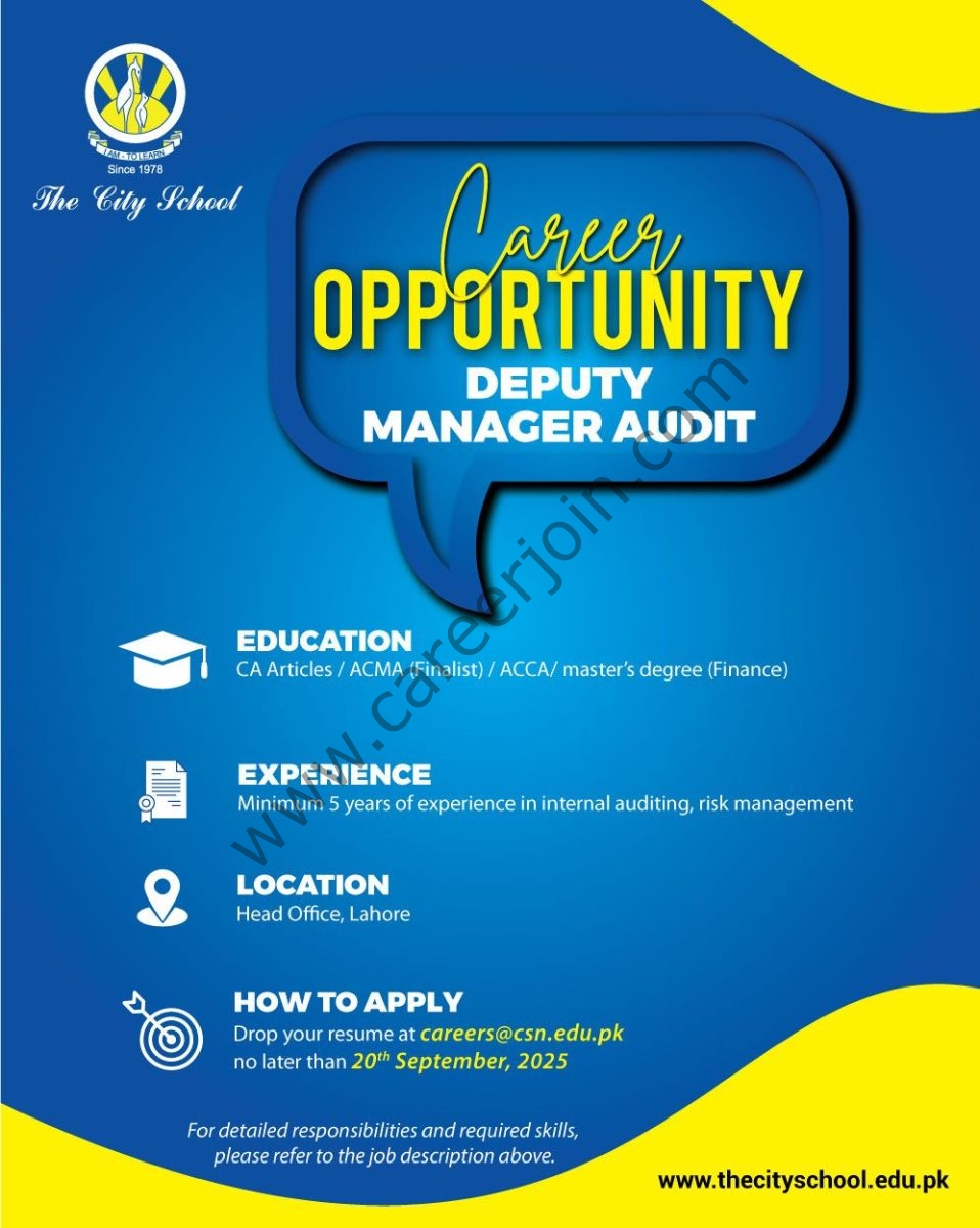 The City School Jobs Deputy Manager Audit 1