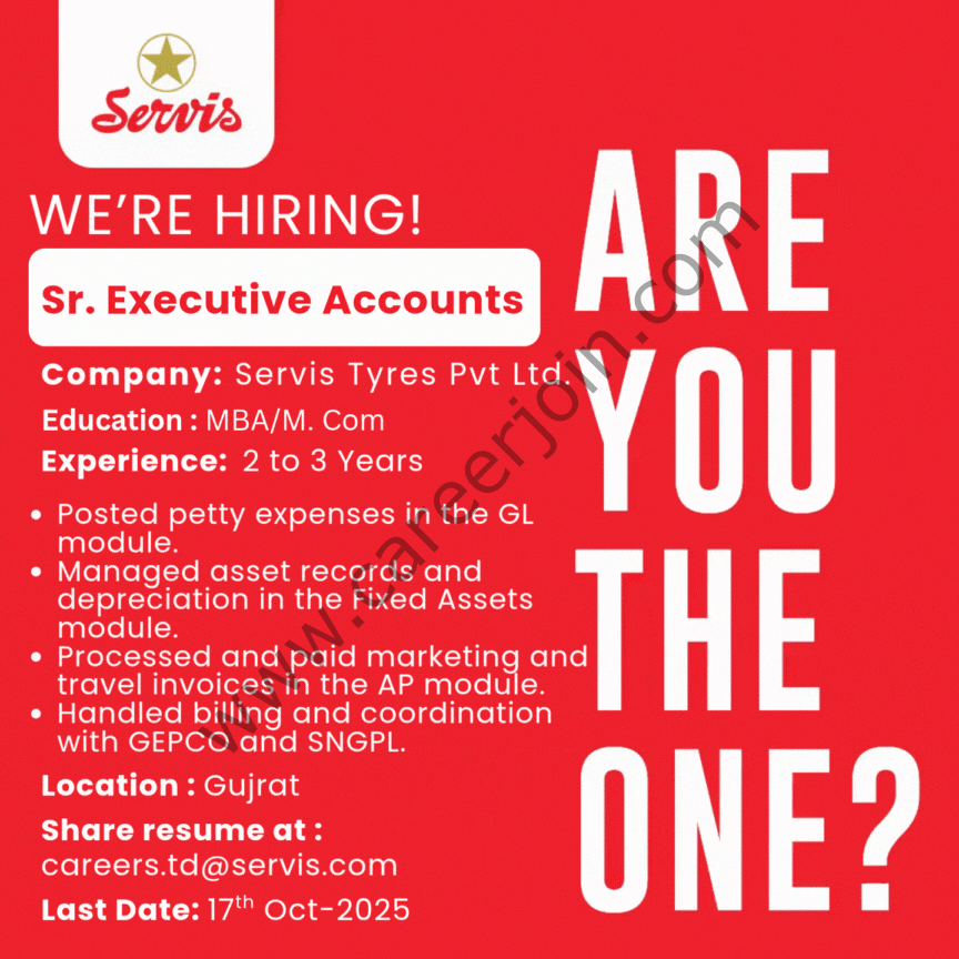 Servis Tyres Pvt Ltd Jobs October 2025 1