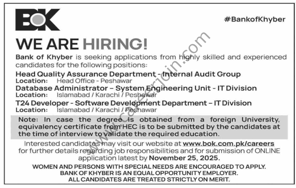 Bank of Khyber BOK Jobs 16 November 2025 Dawn 1