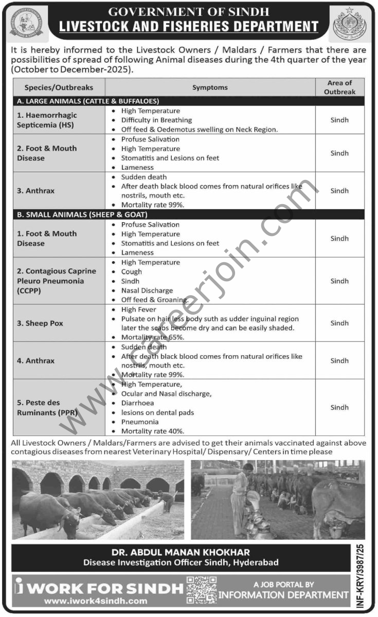 Livestock & Fisheries Department Jobs 28 November 2025 Dawn 1
