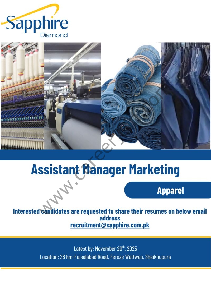 Diamond Sapphire Mills Pvt Ltd Jobs Assistant Manager Marketing 1