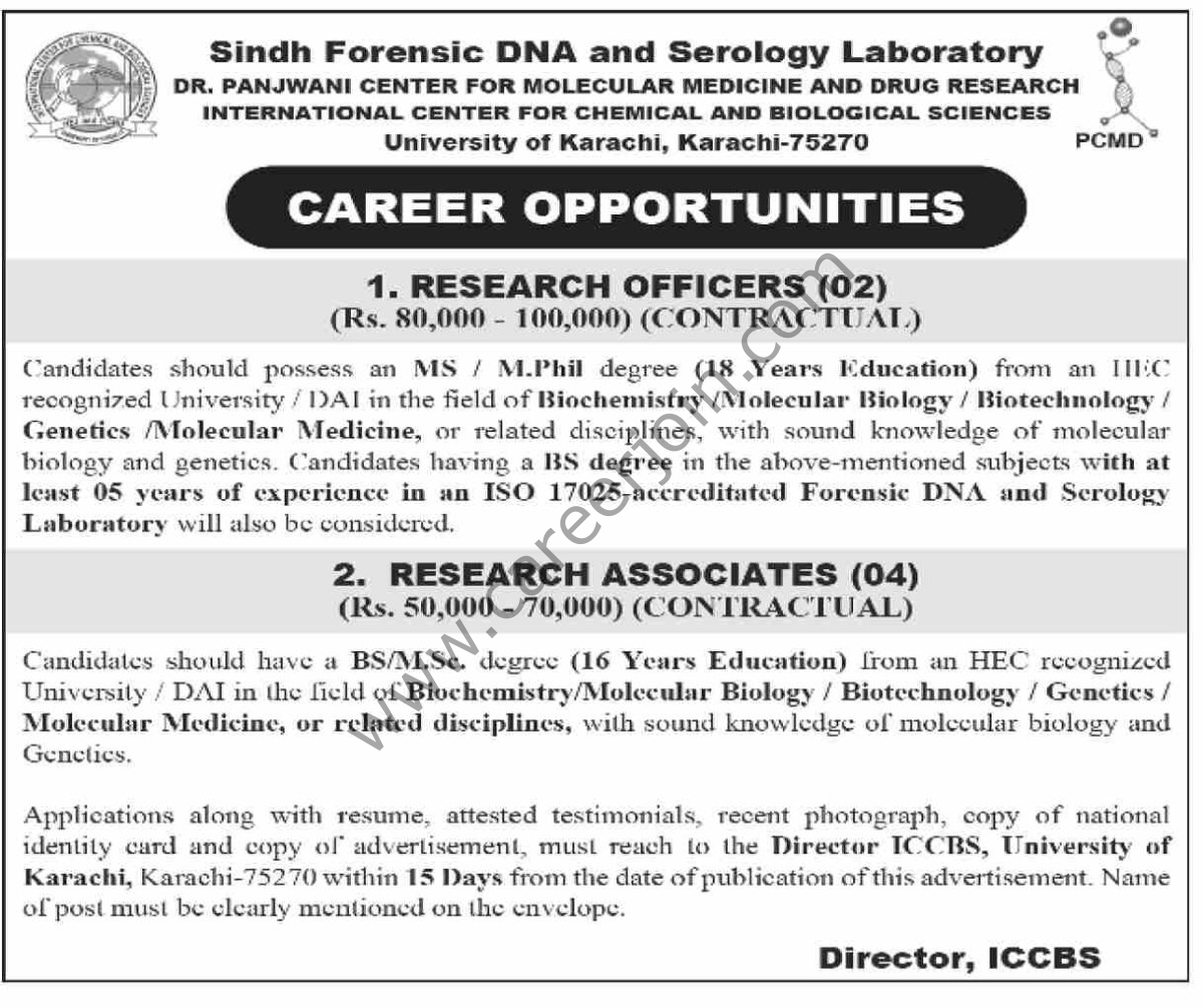 University of Karachi Jobs 25 December 2025 Dawn 1