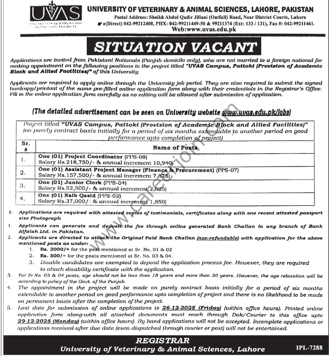University of Veterinary & Animal Sciences Lahore Jobs 11 December 2025 Express Tribune 1