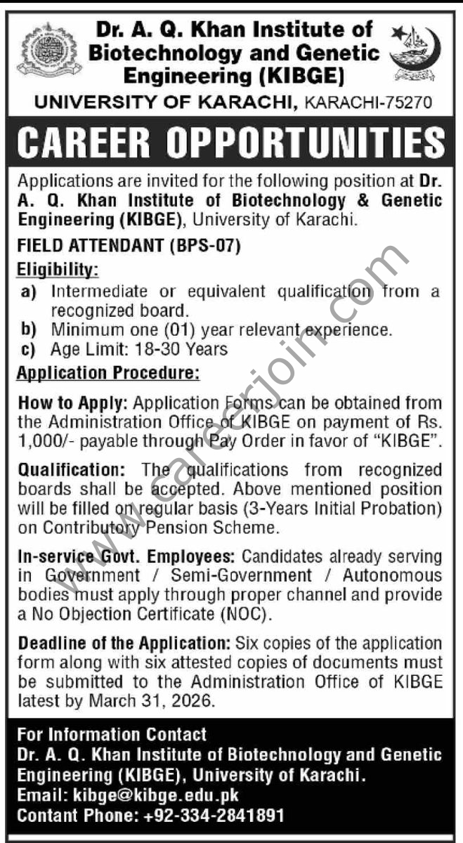 University of Karachi Jobs 08 March 2026 Dawn 1