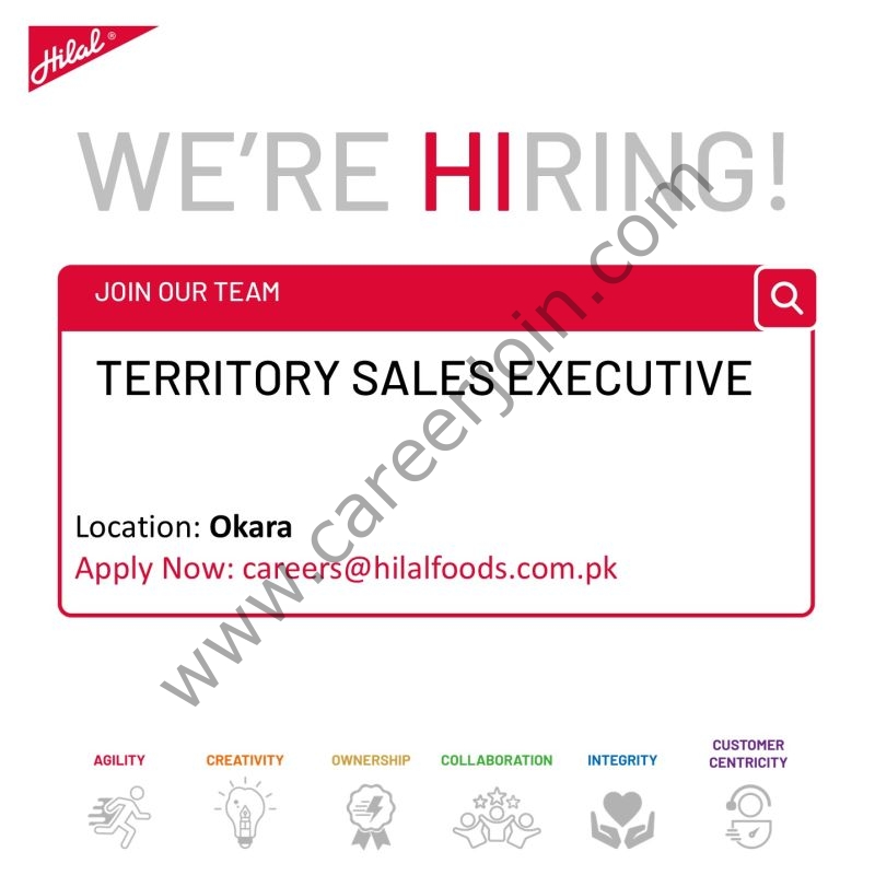 Hilal Foods Pvt Ltd Jobs Territory Sales Executive 1
