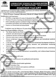 Laboratory Schools & College System Faisalabad Jobs Rector