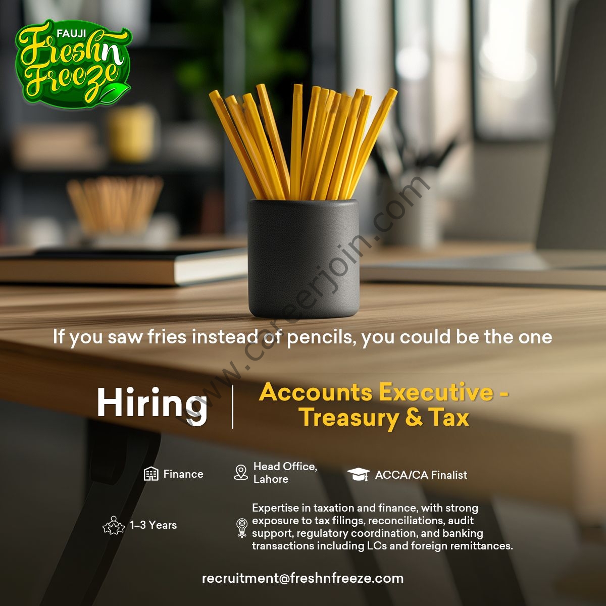Fauji Fresh n Freeze Limited Jobs Accounts Executive Treasury & Tax 1