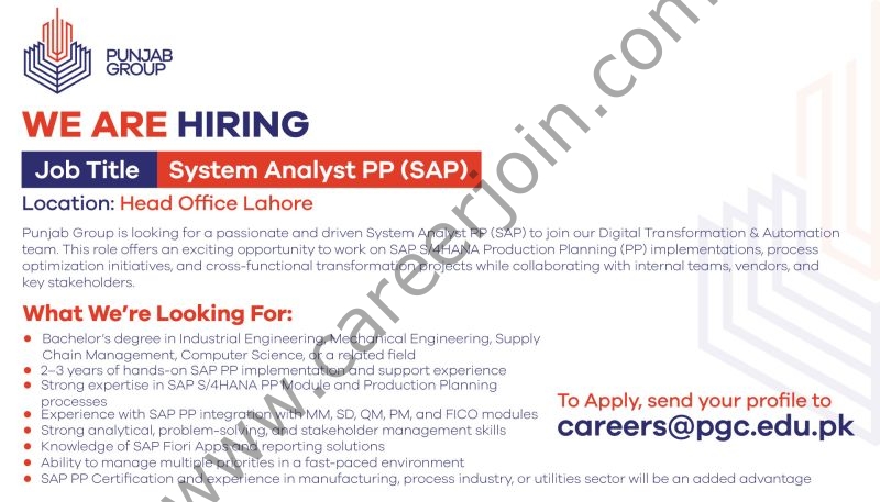 Punjab Group Jobs System Analyst PP (SAP) 1