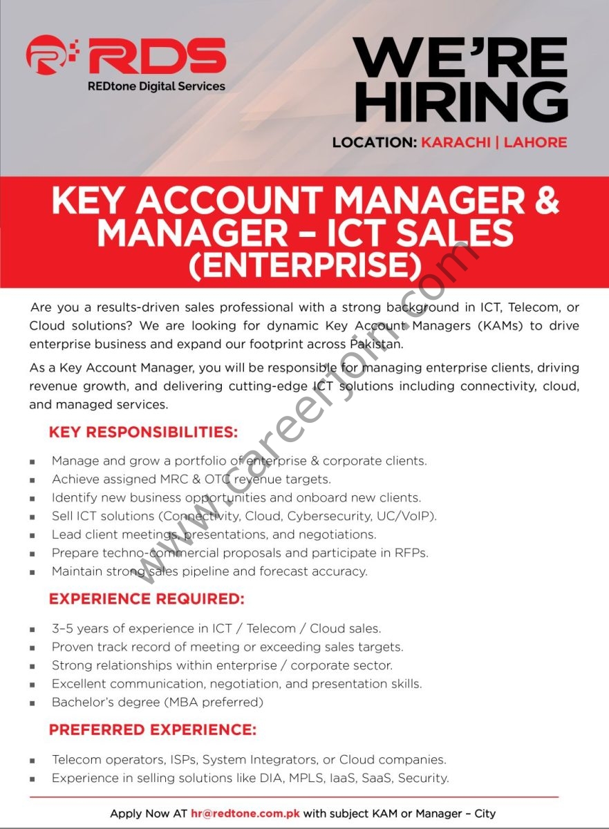 REDtone Digital Services Jobs Key Account Manager & Manager 1