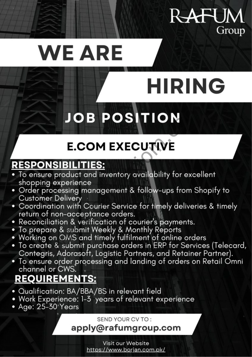 BORJAN Pvt Ltd Jobs E.Com Executive 1