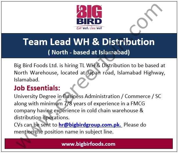 BigBird Group Jobs Team Lead WH & Distribution 1