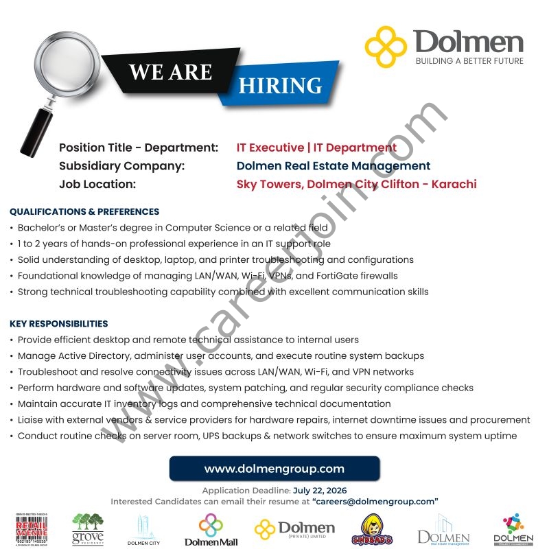 Dolmen Group Jobs IT Executive 1