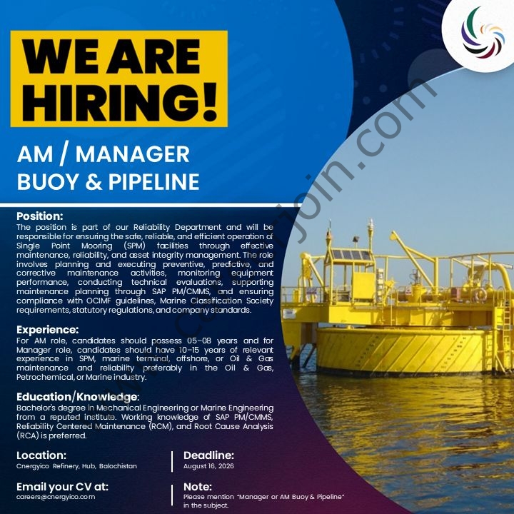 Cnergyico Pvt Ltd Jobs AM / Manager 1
