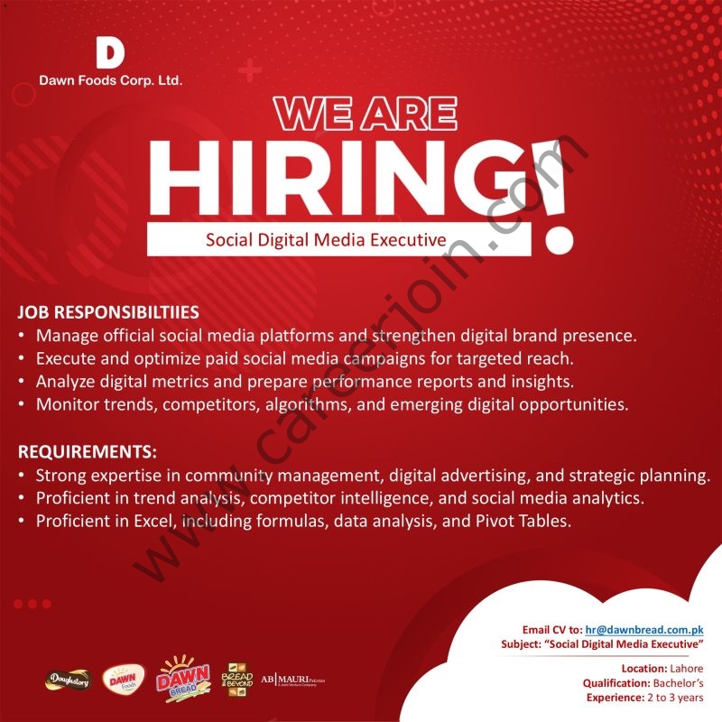 Dawn Foods Corporation Ltd Jobs Social Digital Media Executive 1