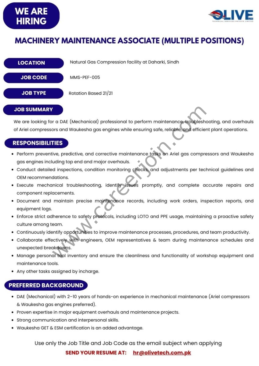 OLIVE Technical Services Private Limited Jobs August 2026 2