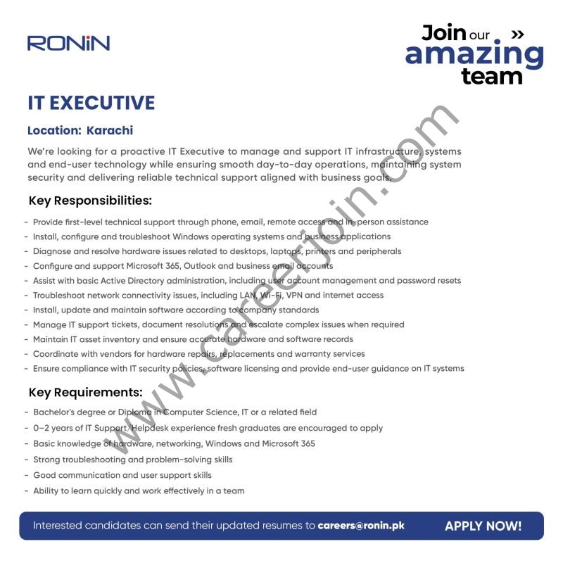 Ronin Pakistan Jobs IT Executive 1