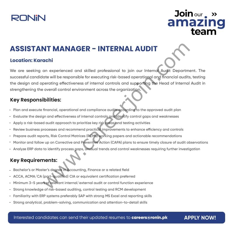 Ronin Pakistan Jobs Assistant Manager Internal Audit 1