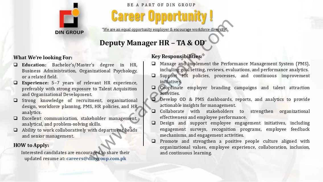 DIN Group Jobs Deputy Manager HR TA & OD 1