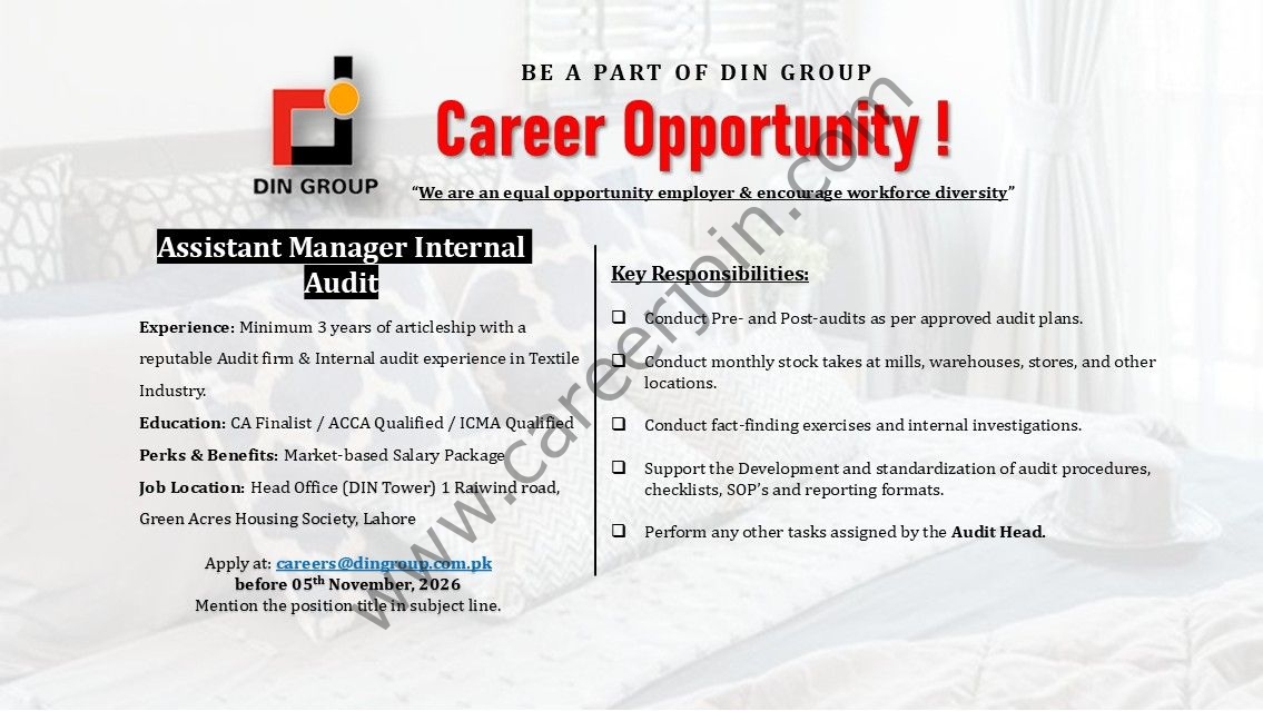 DIN Group Jobs Assistant Manager Internal Audit 1