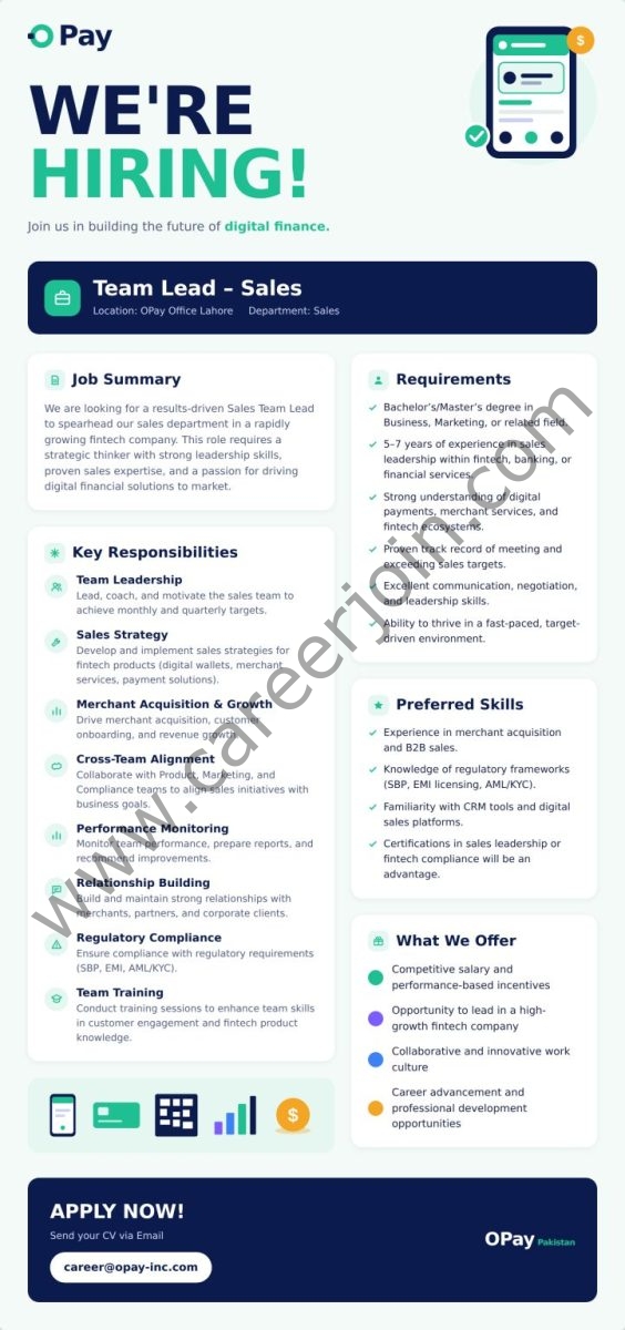 OPay Inc Jobs Team Lead Sales 1