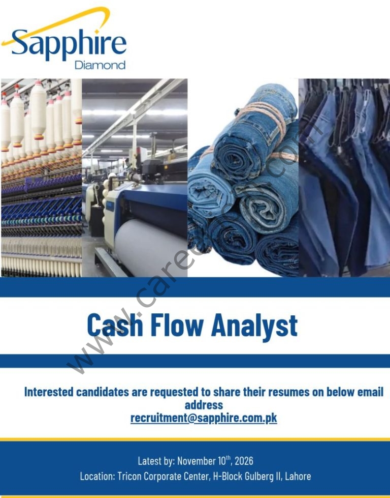 Sapphire Diamond Jobs Cash Flow Analyst